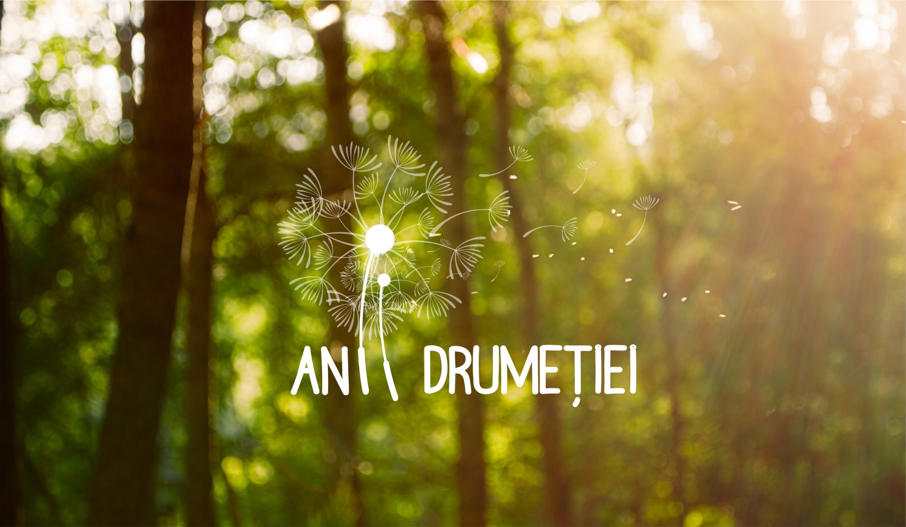 Programul ”Anii Drumeției” va fi lansat luna viitoare și cuprinde tot județul: ”condiții prielnice pentru experiențe plăcute, în natură”