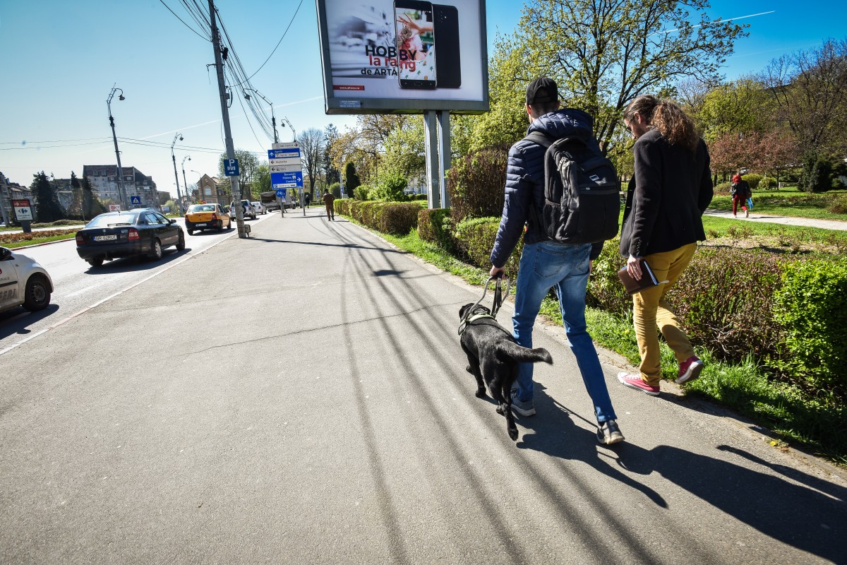 O petiție on-line a determinat un consilier local să inițieze proiectul primelor parcuri pentru câini din oraș
