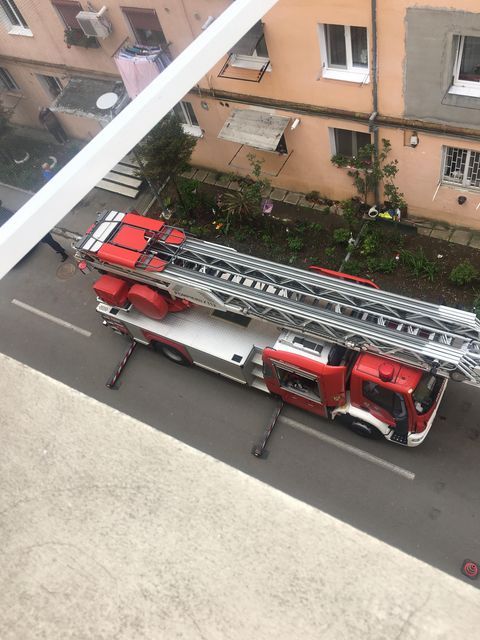Câinele femeii găsite decedată în apartament este la Animal Life. „E un sharpei blând și bun”