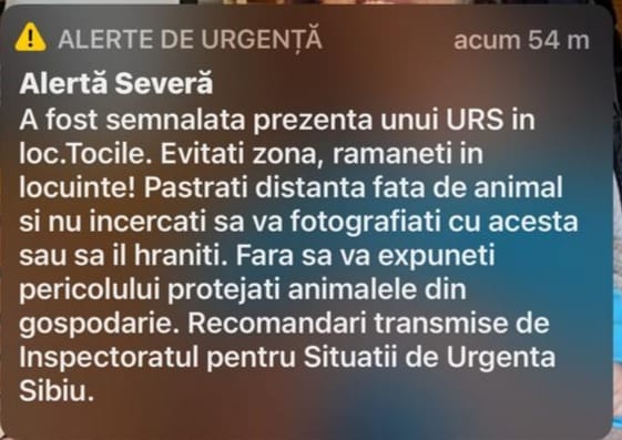 Mesaj RO-ALERT: Urs observat în zona locuită din Tocile