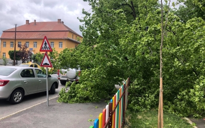 Parte dintr-un copac căzută peste gardul unui loc de joacă din Piața Cluj. Primăria va extrage restul copacului și va înlocui spațiul rămas gol, la toamnă