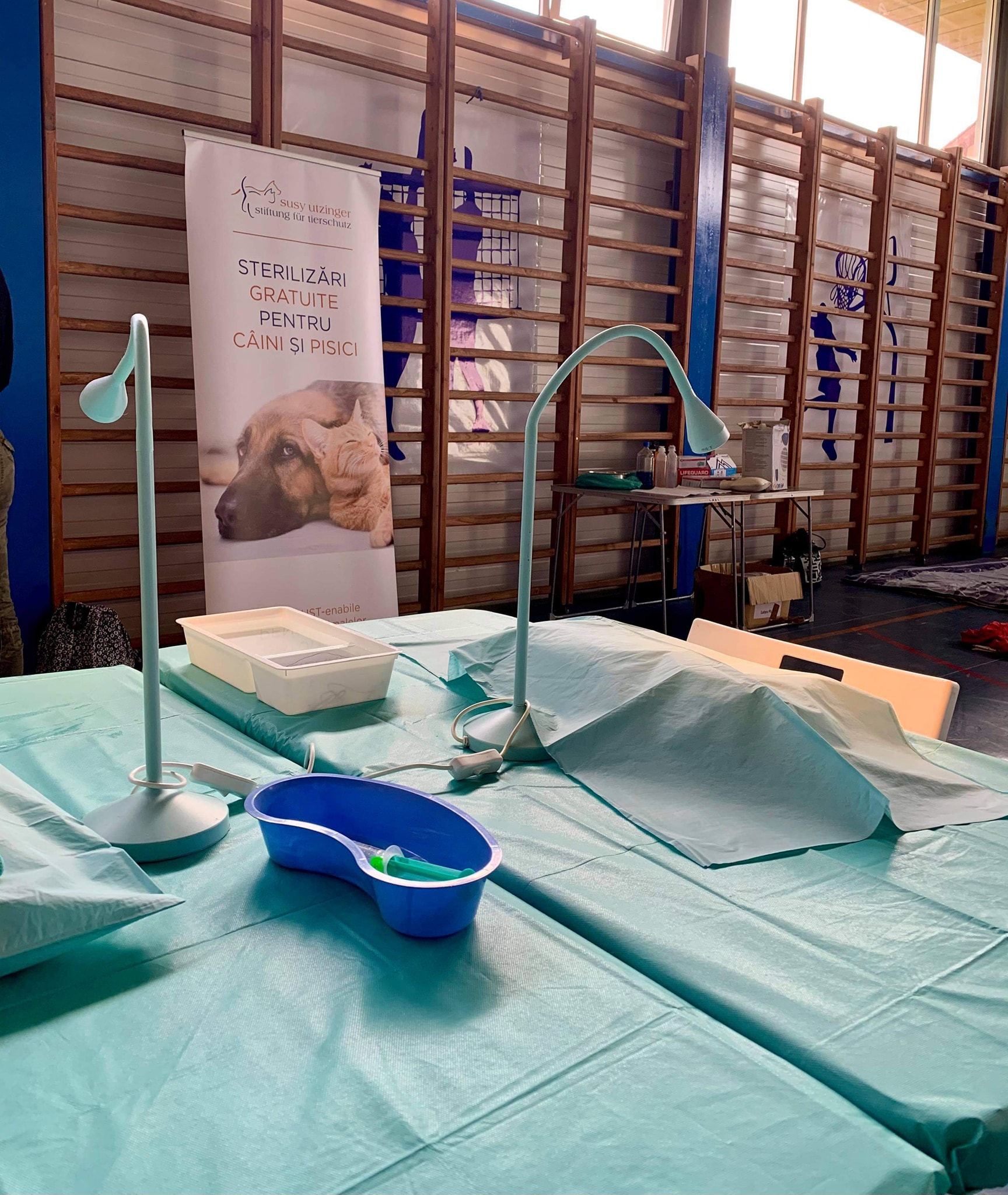 Animal Life a organizat o nouă campanie de castrări gratuite, în Șura Mare