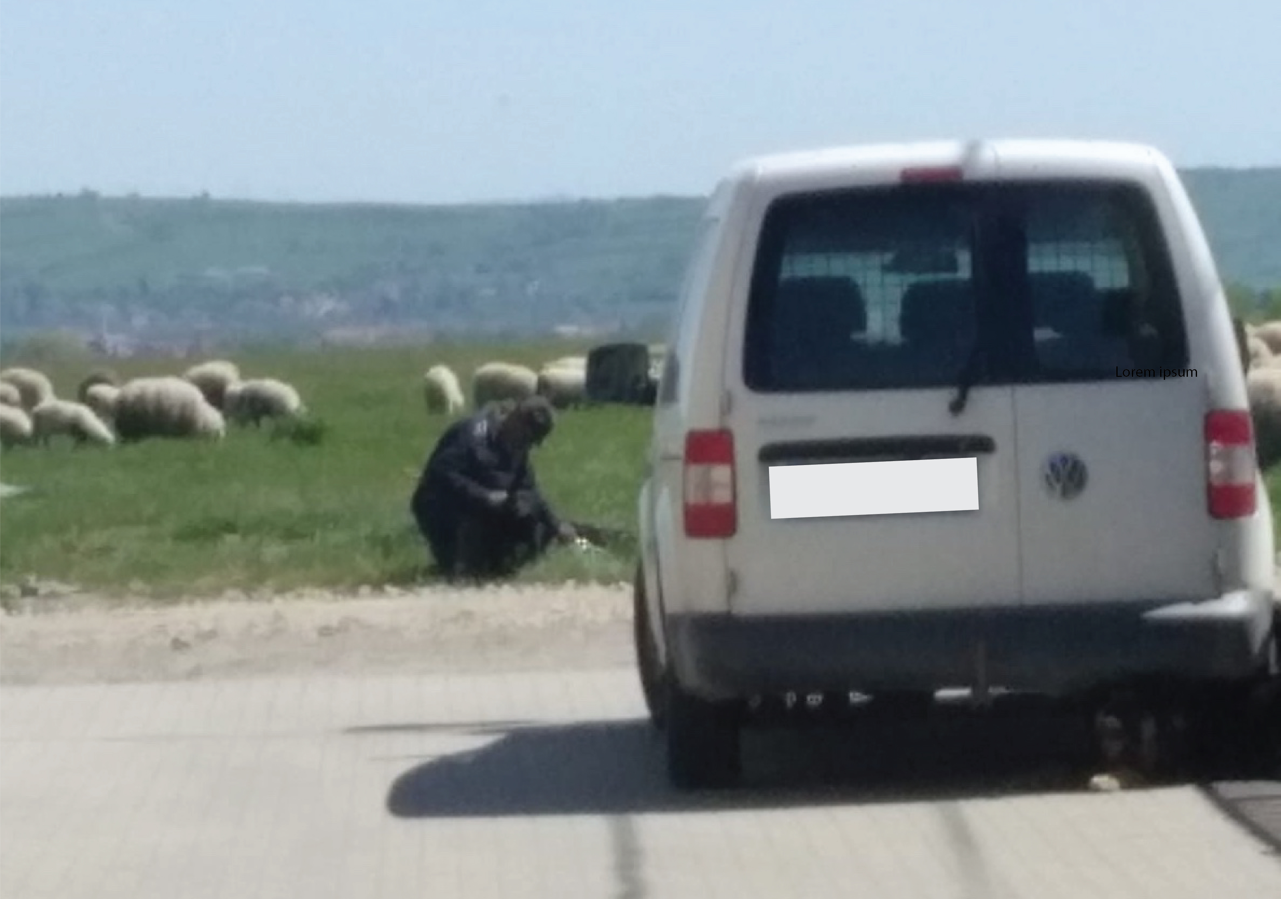 Stâna din Cartierul Arhitecților va fi mutată. Primăria Șelimbăr a câștigat procesul