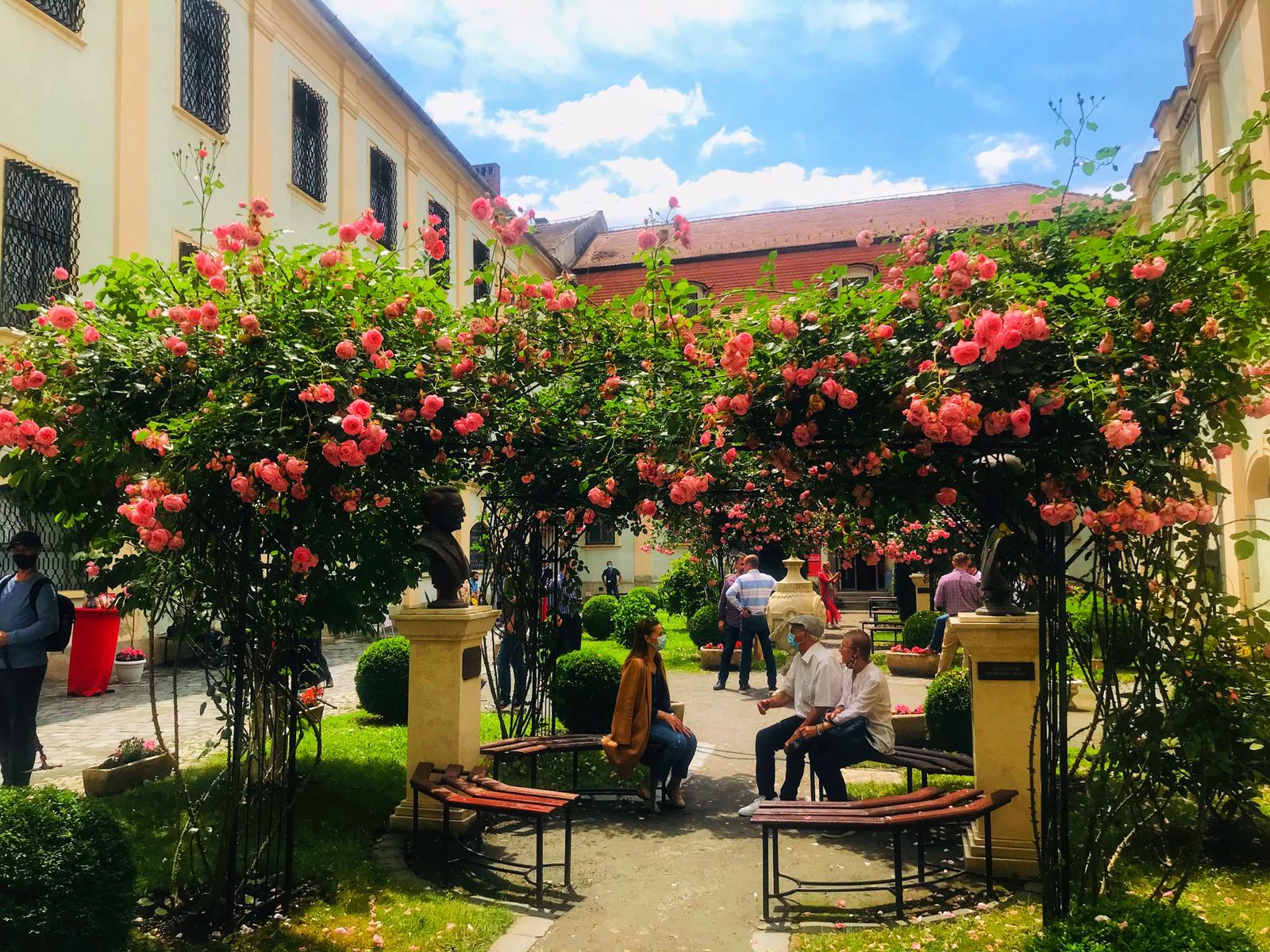 FOTO - Expoziție de gravuri europene la Muzeul Național Brukenthal. „Este unică în România”