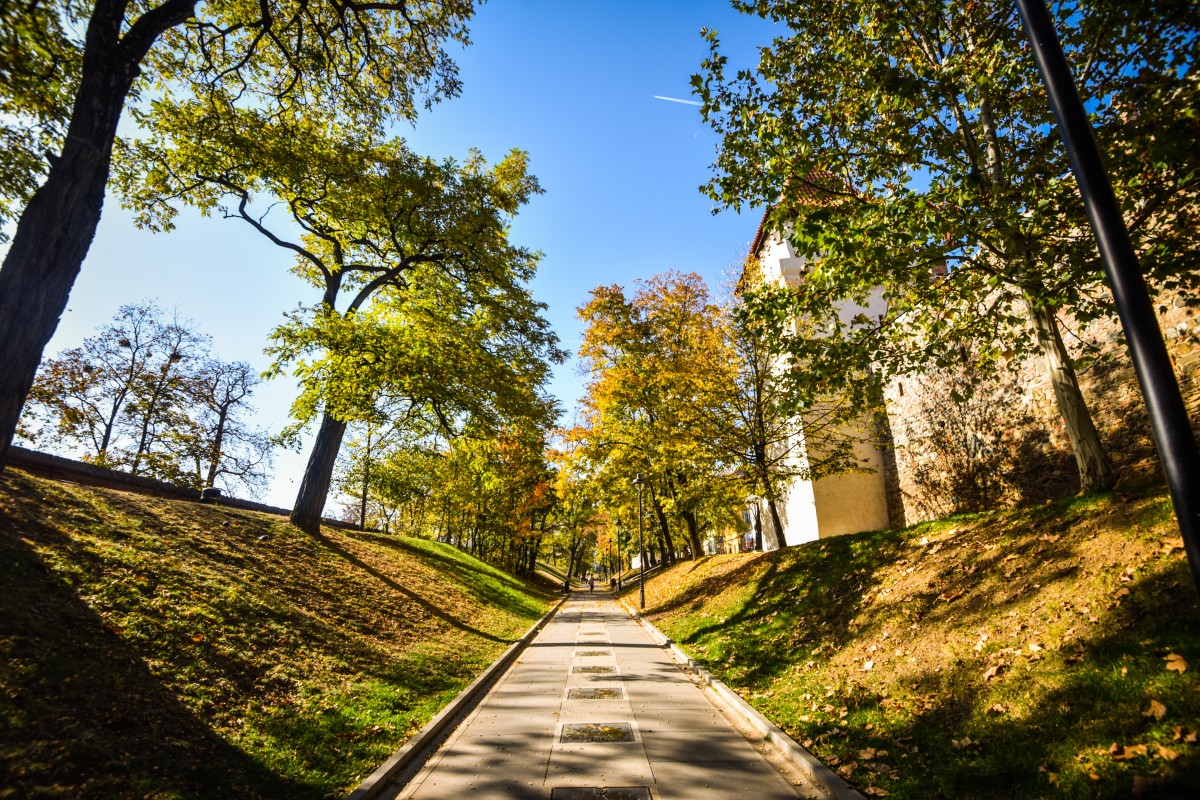 Opt stele noi pe Aleea Celebrităților din Sibiu, la FITS 2021