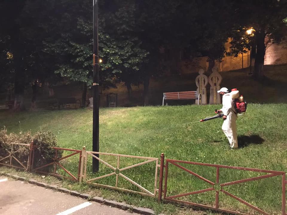 Acțiuni de dezinsecție a spațiilor verzi în Mediaș