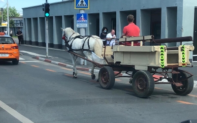 Căruță trasă de cal, la plimbare în centrul orașului. „Este pentru un spectacol”