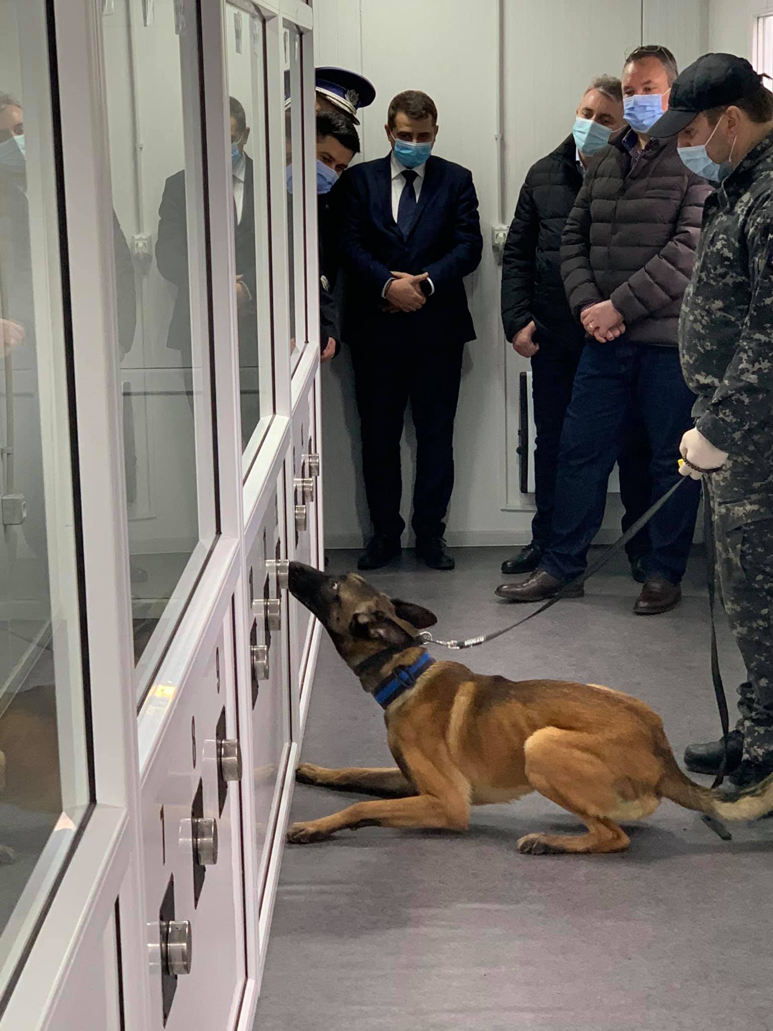 CNSU: Proiect-pilot la Sibiu de detectare a persoanelor infectate cu COVID-19 cu ajutorul echipelor canine
