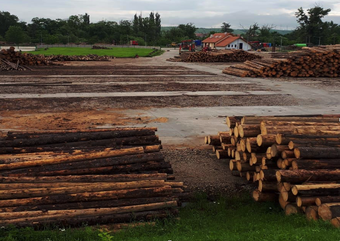 Direcția Silvică Sibiu va organiza un schimb de experiență și instructaj pentru licitațiile electronice