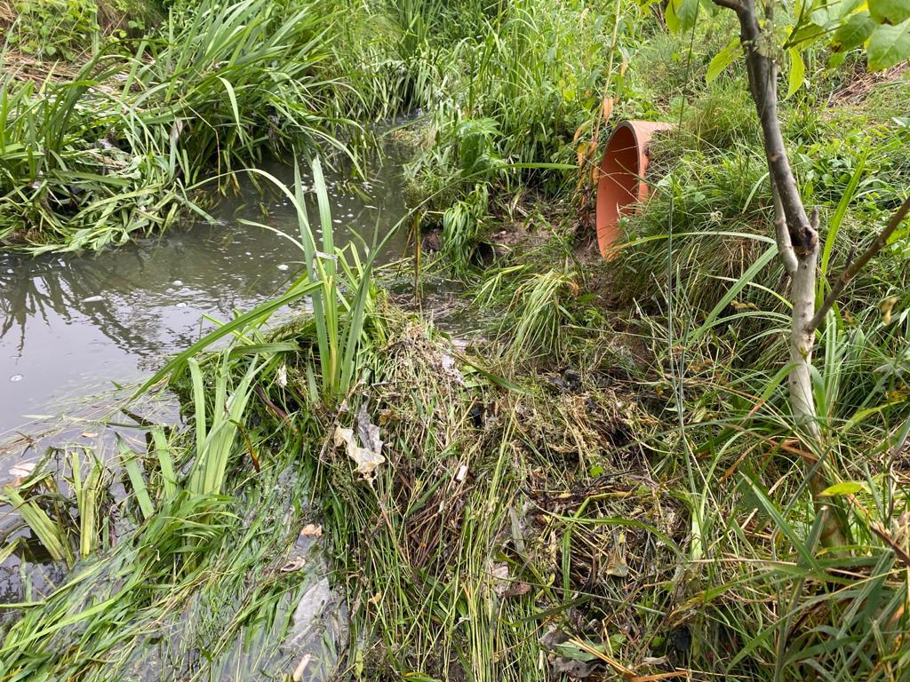 O țeavă care deversa dejecții în parcul Sub Arini a fost astupată. Altele continuă să împută zona