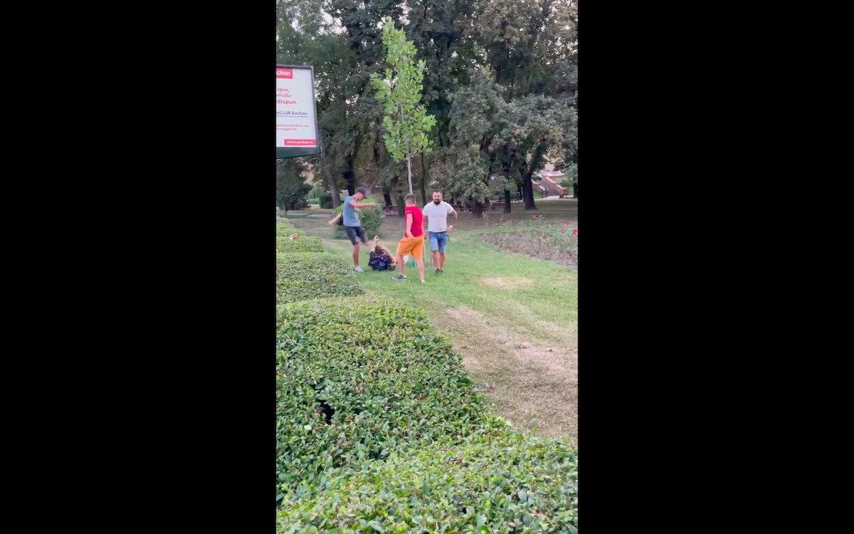 VIDEO Copil de 15 ani bătut în parcul Tineretului de trei bărbați