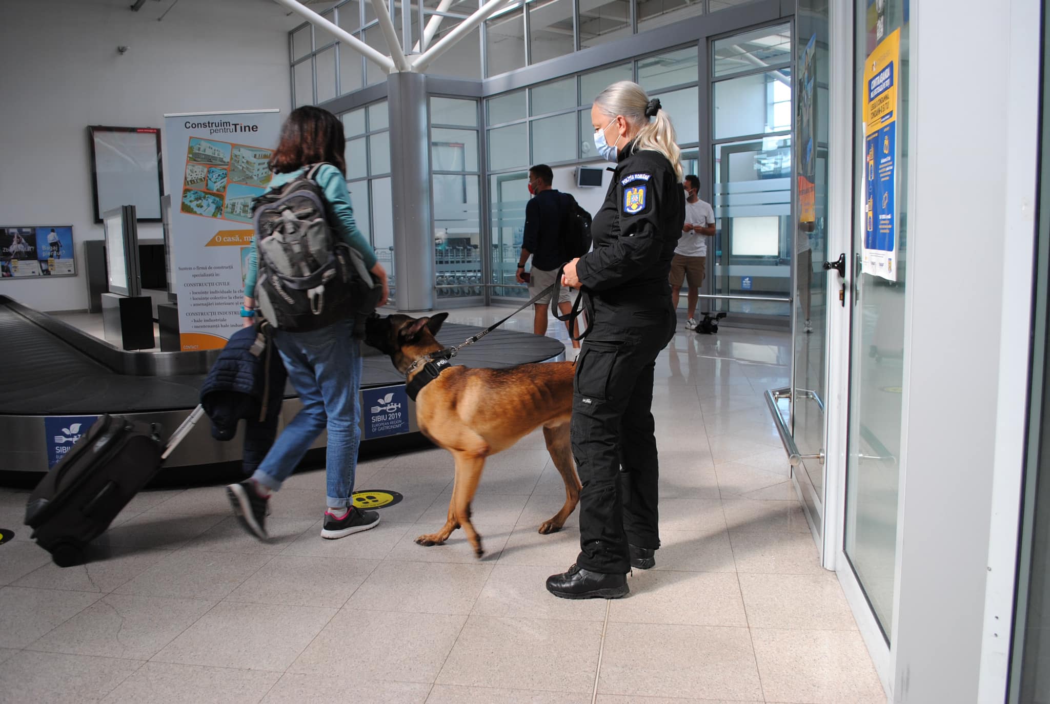 Bode: Câinii Centrului Chinologic Sibiu care detectează COVID-19 vor fi folosiți și pe alte aeroporturi