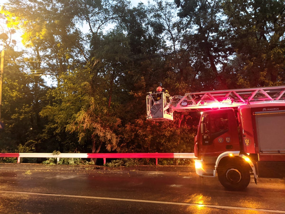 FOTO Brazi și crengi căzute pe drum, după furtuna din Sibiu