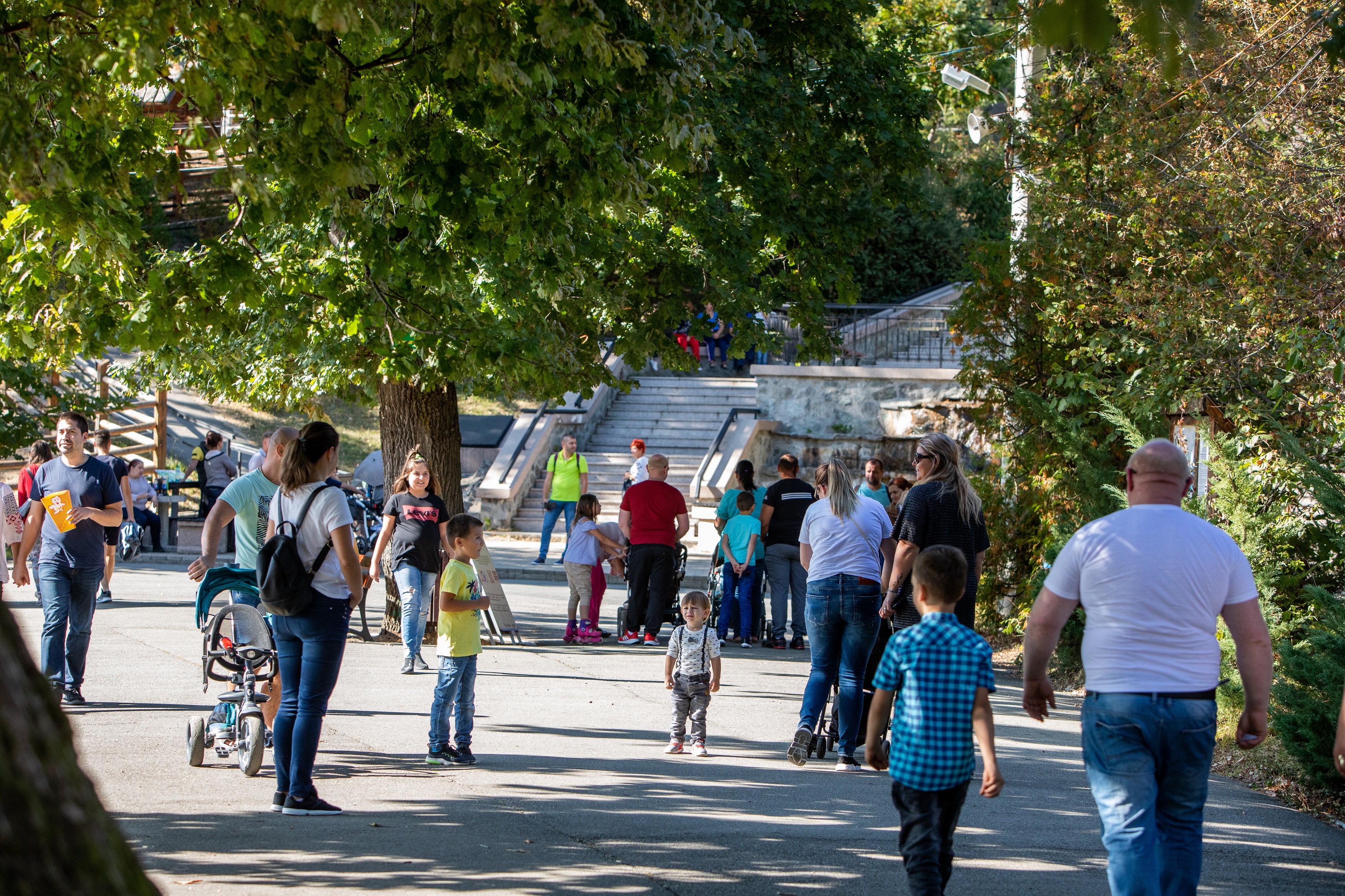 Săptămâna Europeană a Mobilității în Sibiu: Concurs dedicat copiilor, în Grădina Zoologică