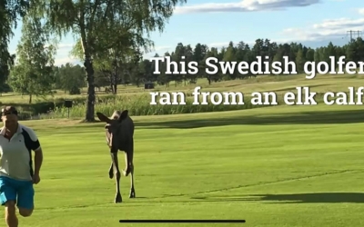 VIDEO Ambasadei Suediei la Bucureşti după ce Iohannis a îndemnat la practicarea golfului: doar dacă faci și jogging!