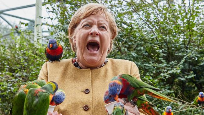 Imaginea zilei în lume. Reacția cancelarului Merkel când a vizitat un parc de păsări