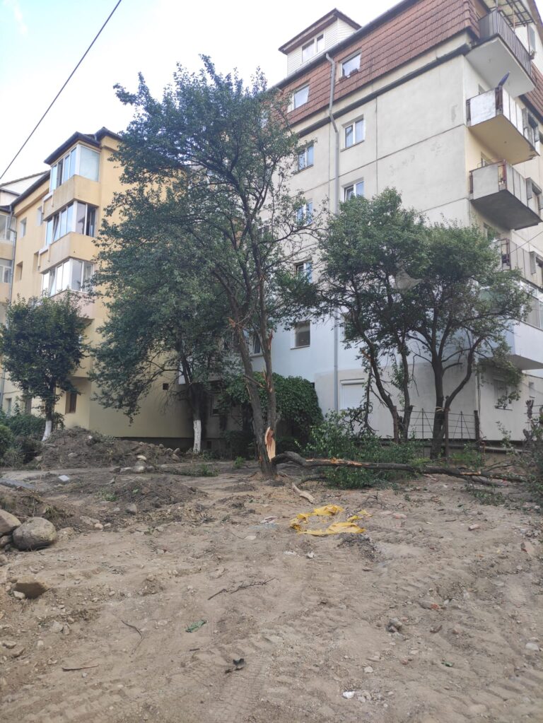 Primăria liniștește sibienii alarmați de defrișările din Terezian: ”Toate tăierile de arbori se fac cu avizul Agenției de Protecție a Mediului”