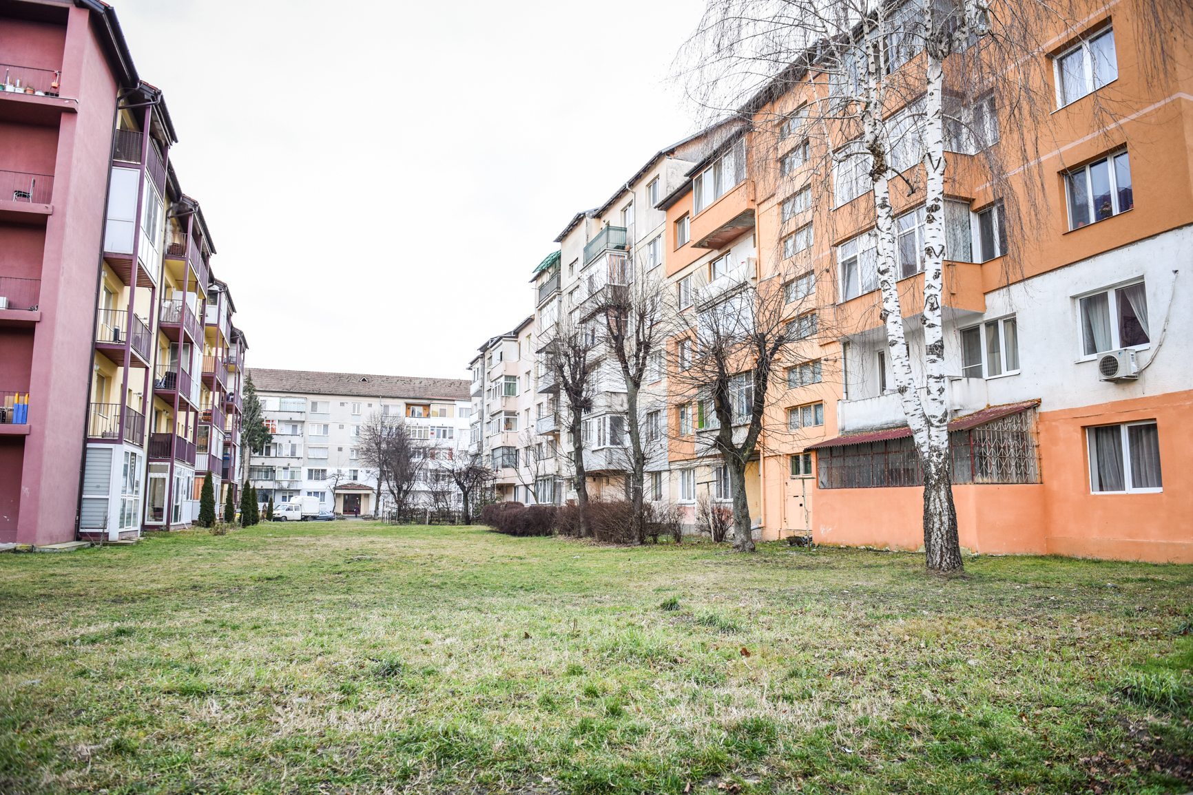 Primăria explică: de ce nu sunt prevăzute amenzi în noul regulament al spațiilor verzi?