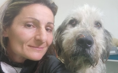 VIDEO - „Ai senzația că nu respiră și te uiți mai atent. Vezi că respiră așa că respiri și tu”.  O zi pe teren cu Adina Durcău, de la Animal Life