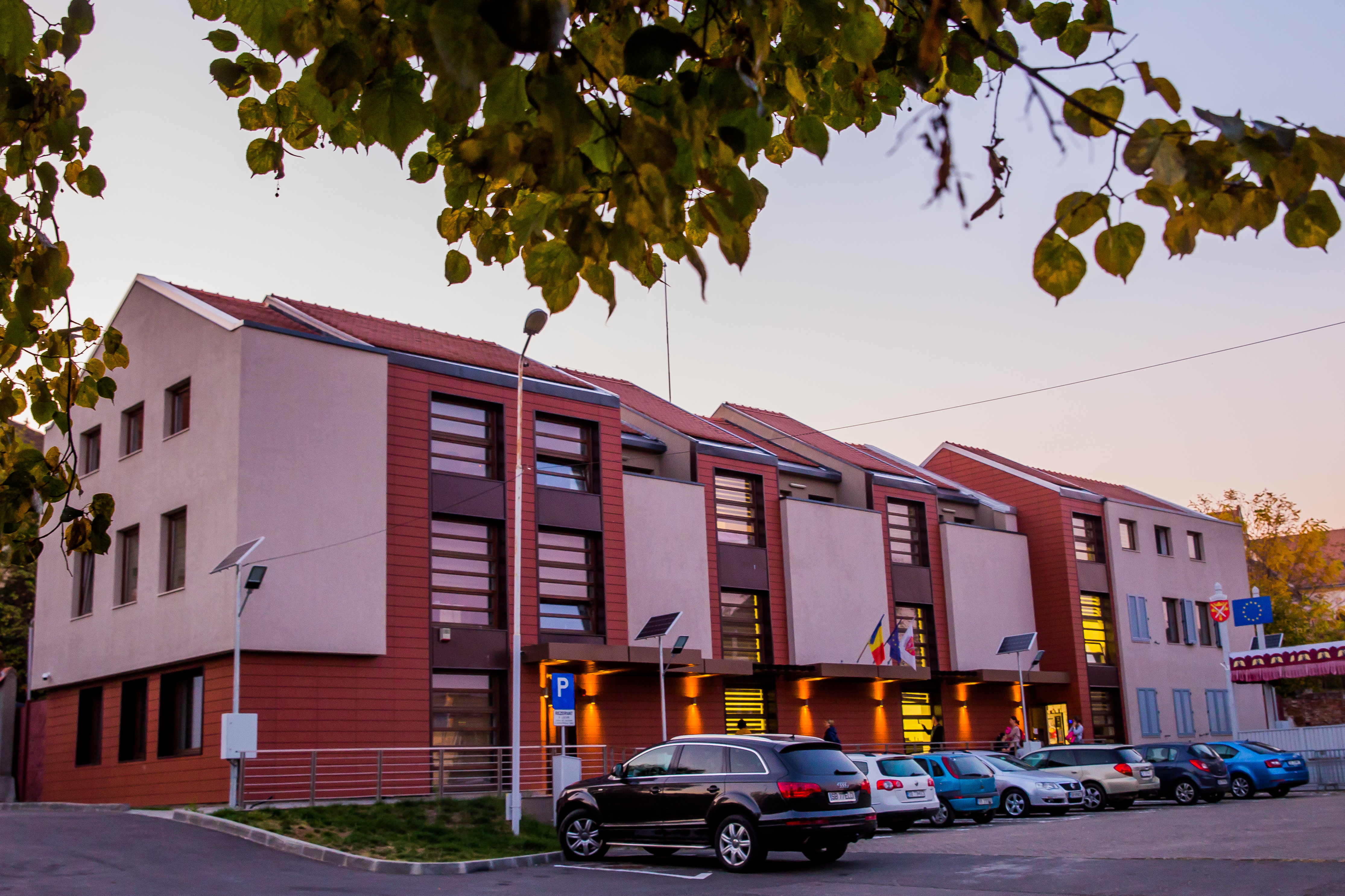Modificare în programul Teatrului de Balet Sibiu: se reprogramează spectacolul „Dama cu camelii”