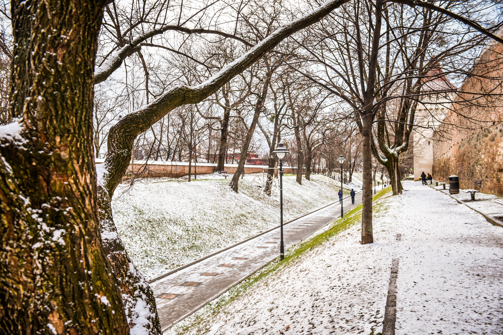 Incidența în Sibiu, Șelimbăr și Cisnădie trece de 10 la mie. Situația în fiecare localitate