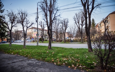 Sibiul își actualizează Regulamentul spațiilor verzi, după 22 de ani: locuitorii - invitați să devină colaboratori doar cu obligații