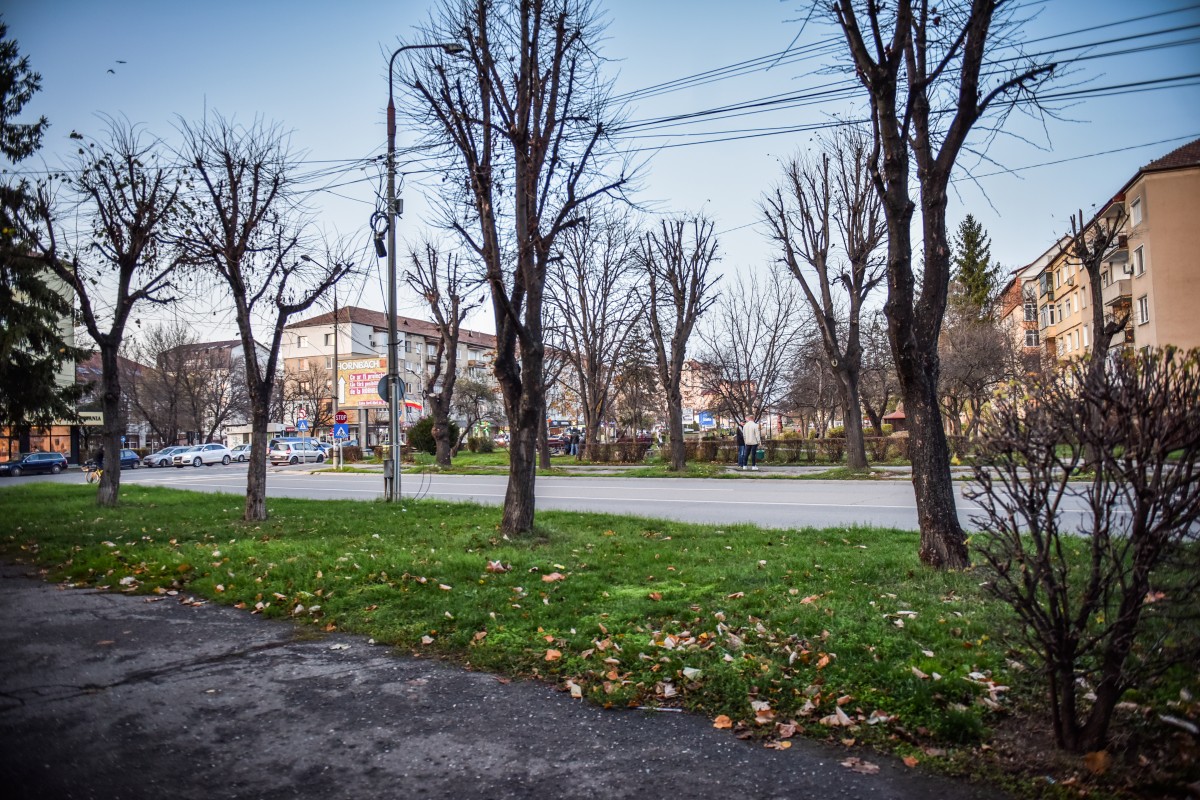 Sibiul își actualizează Regulamentul spațiilor verzi, după 22 de ani: locuitorii - invitați să devină colaboratori doar cu obligații