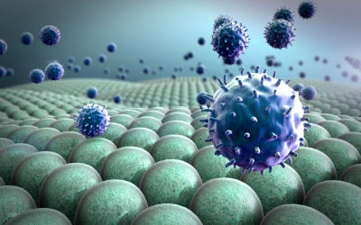 Infecţia cu virusul care provoacă boala COVID-19 poate declanşa un răspuns de dereglare imunitară