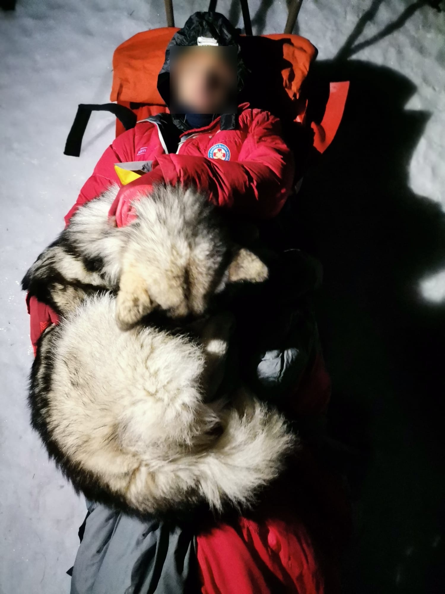 Un câine a salvat viaţa unui turist rănit, în Croația. S-a ghemuit pe victimă şi a încălzit-o timp de 13 ore