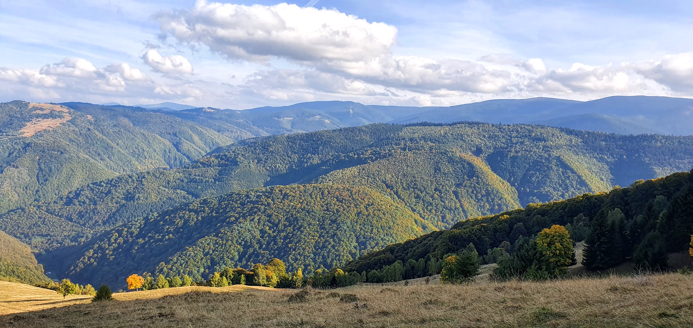 Amenzi mari în taberele private din Sibiu: Igienă precară, mizerie în camere și băi murdare