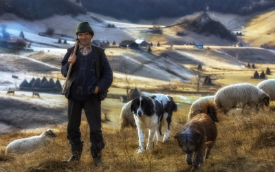Salonul Internațional de Artă Fotografică de la Sibiu și-a ales câștigătorii. Sibienii Jeno Major și Dan Șușa, printre cei premiați