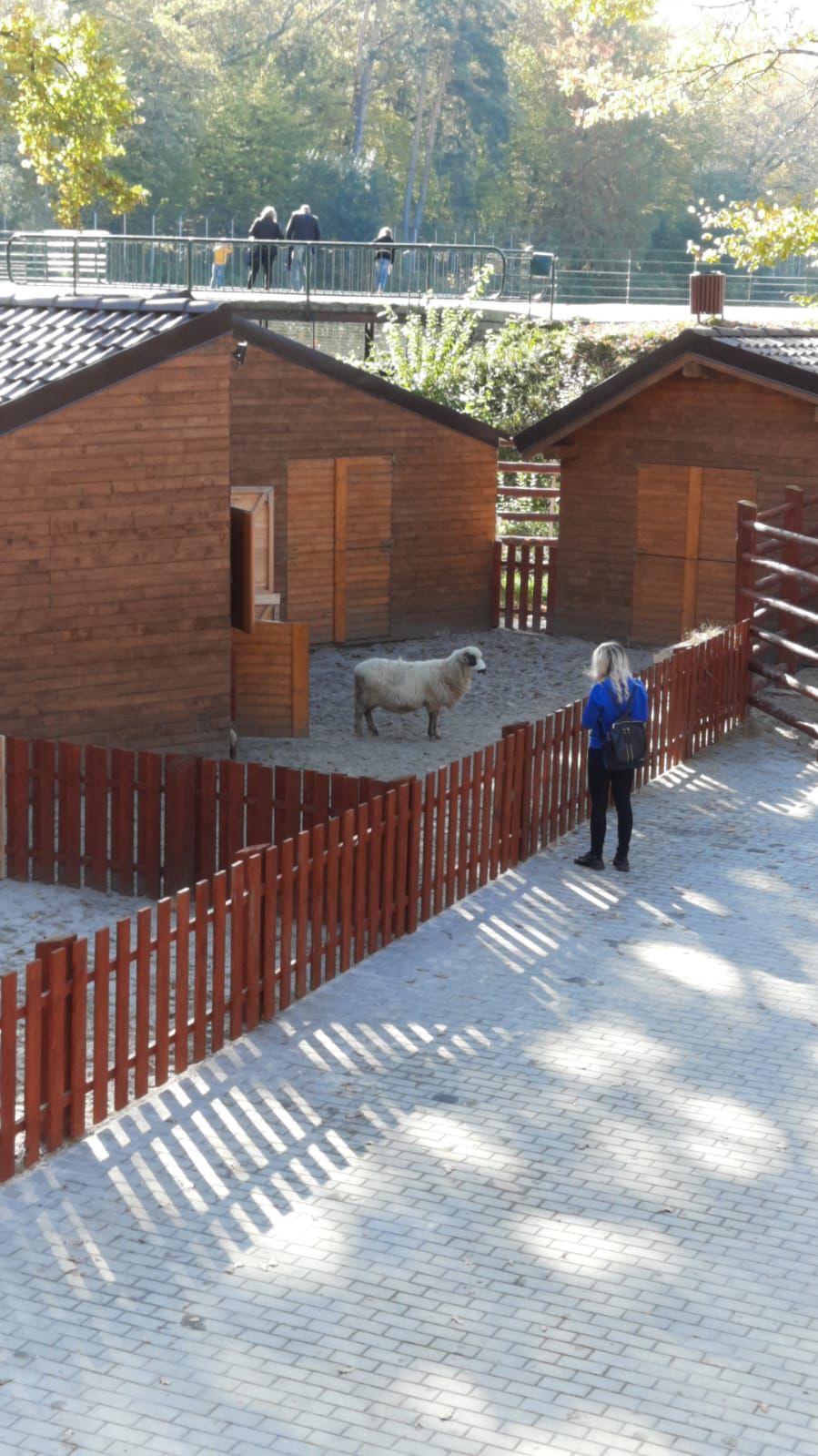 Ferma animalelor de la Zoo Sibiu s-a deschis. Valoarea proiectului depășește 800.000 de lei