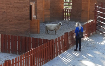 Ferma animalelor de la Zoo Sibiu s-a deschis. Valoarea proiectului depășește 800.000 de lei