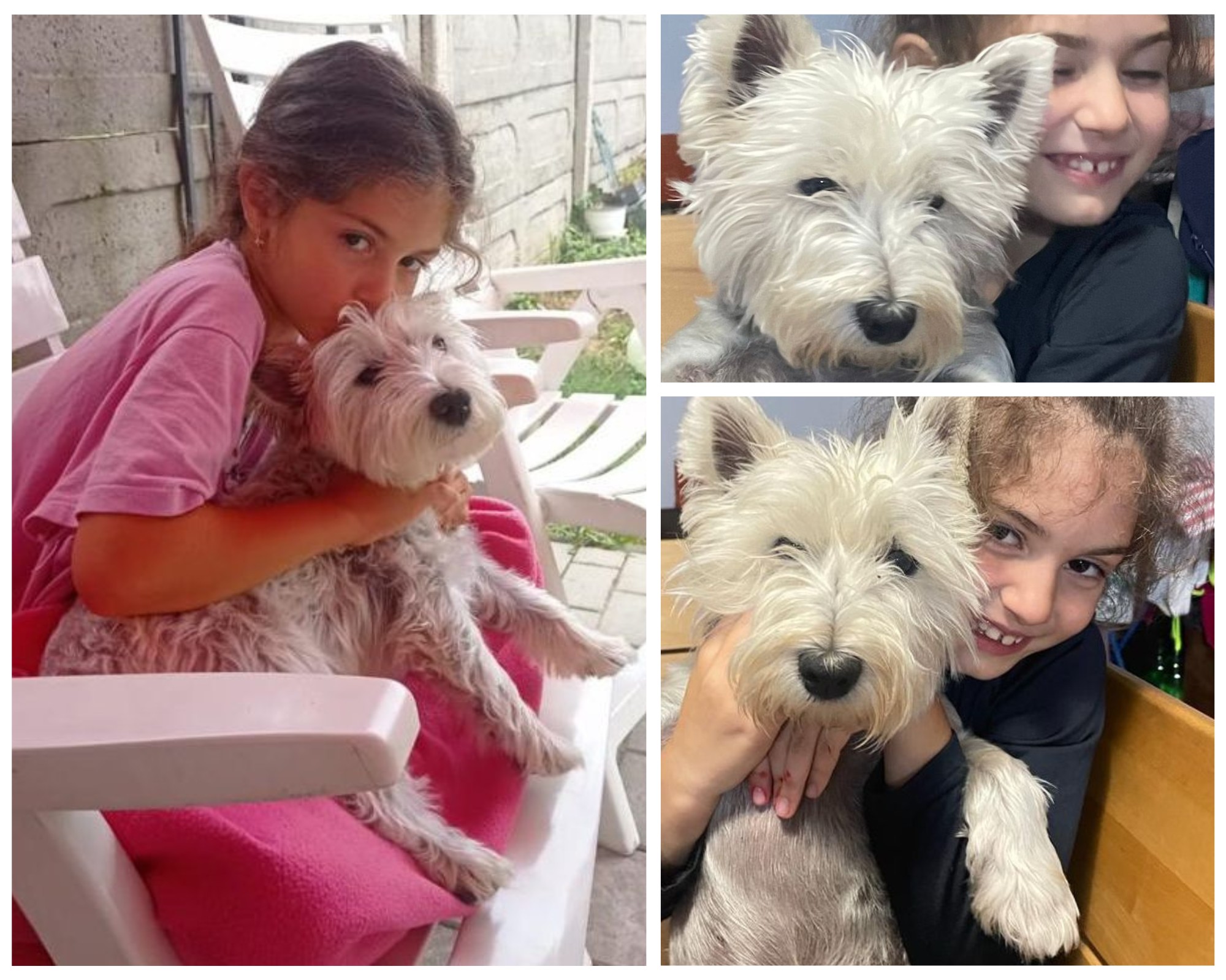Povestea prieteniei dintre Dalia, o fetiță de 7 ani din Sibiu și Michi, un cățel adoptat. Dorm împreună, se joacă, iar Michi a devenit păpușa vie a Daliei