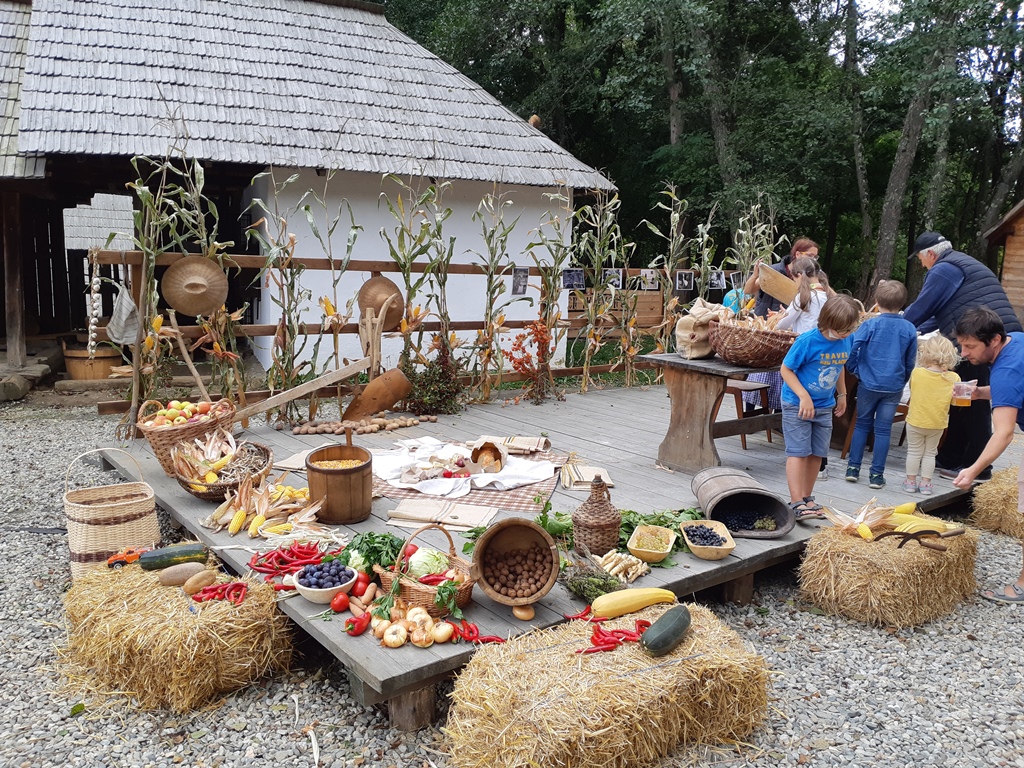 Dulceața de gutui și zacusca de vinete, vedete la Muzeul Astra, în acest weekend. Sibienii sunt invitați să participe la Sărbătoarea Recoltei