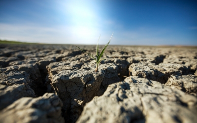 Aproape 800.000 de hectare afectate de secetă în țara noastră