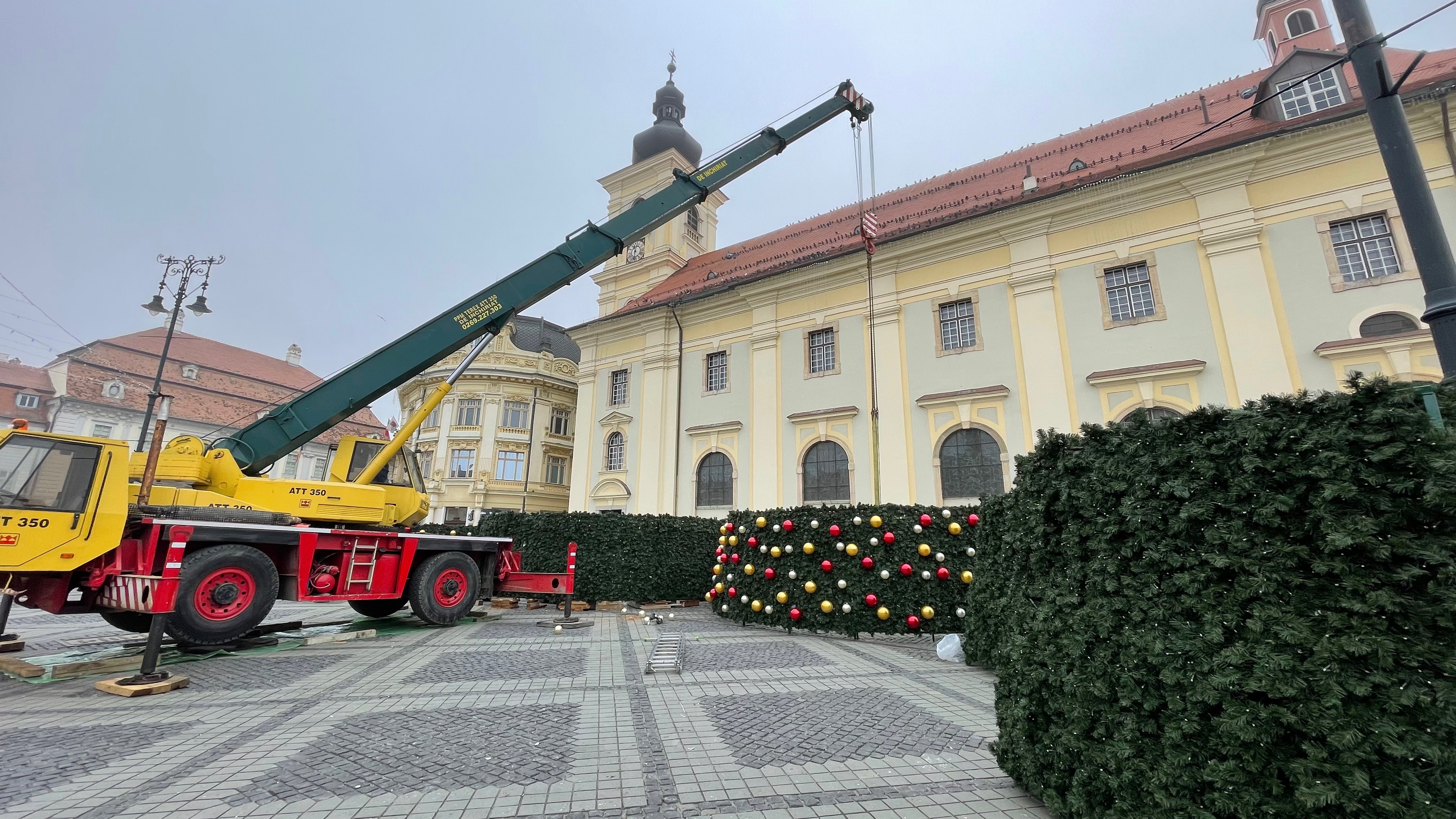 brad de Crăciun Sibiu