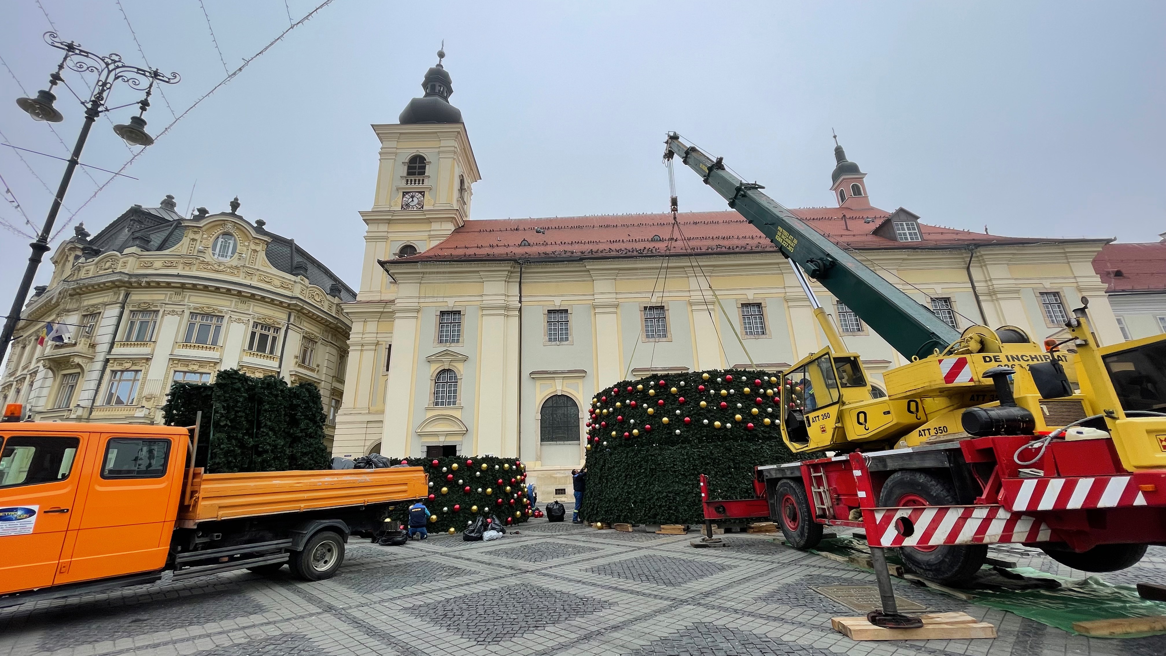 brad de Crăciun Sibiu