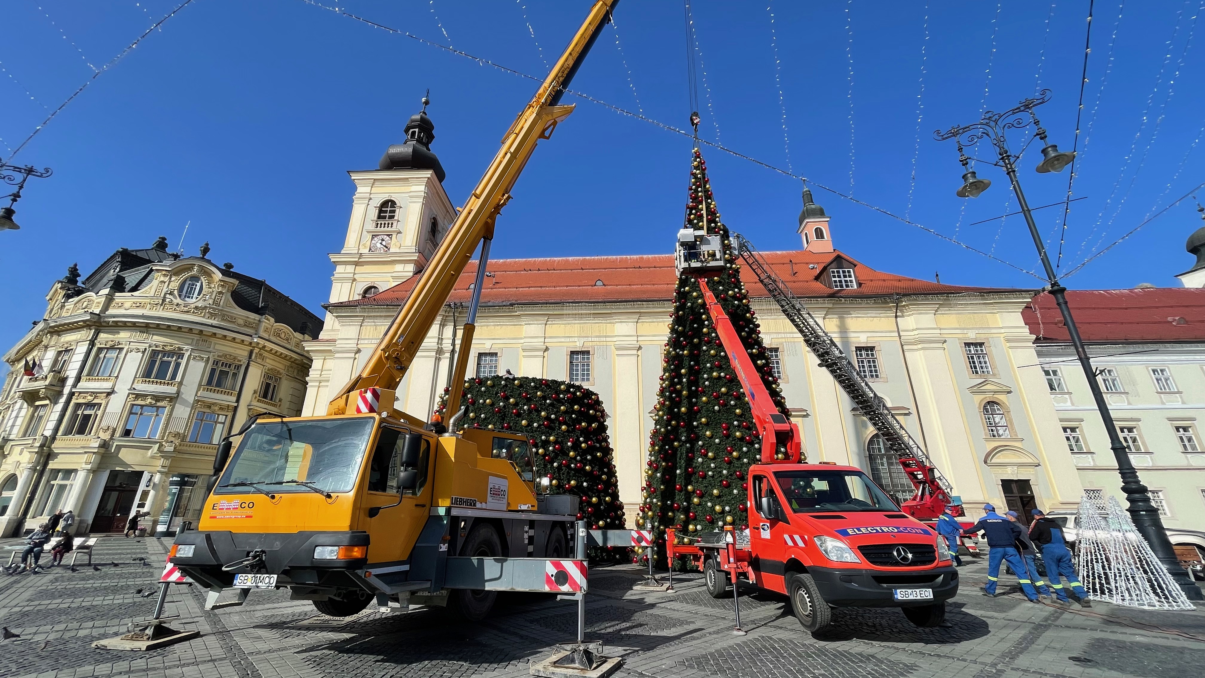 brad de Crăciun Sibiu
