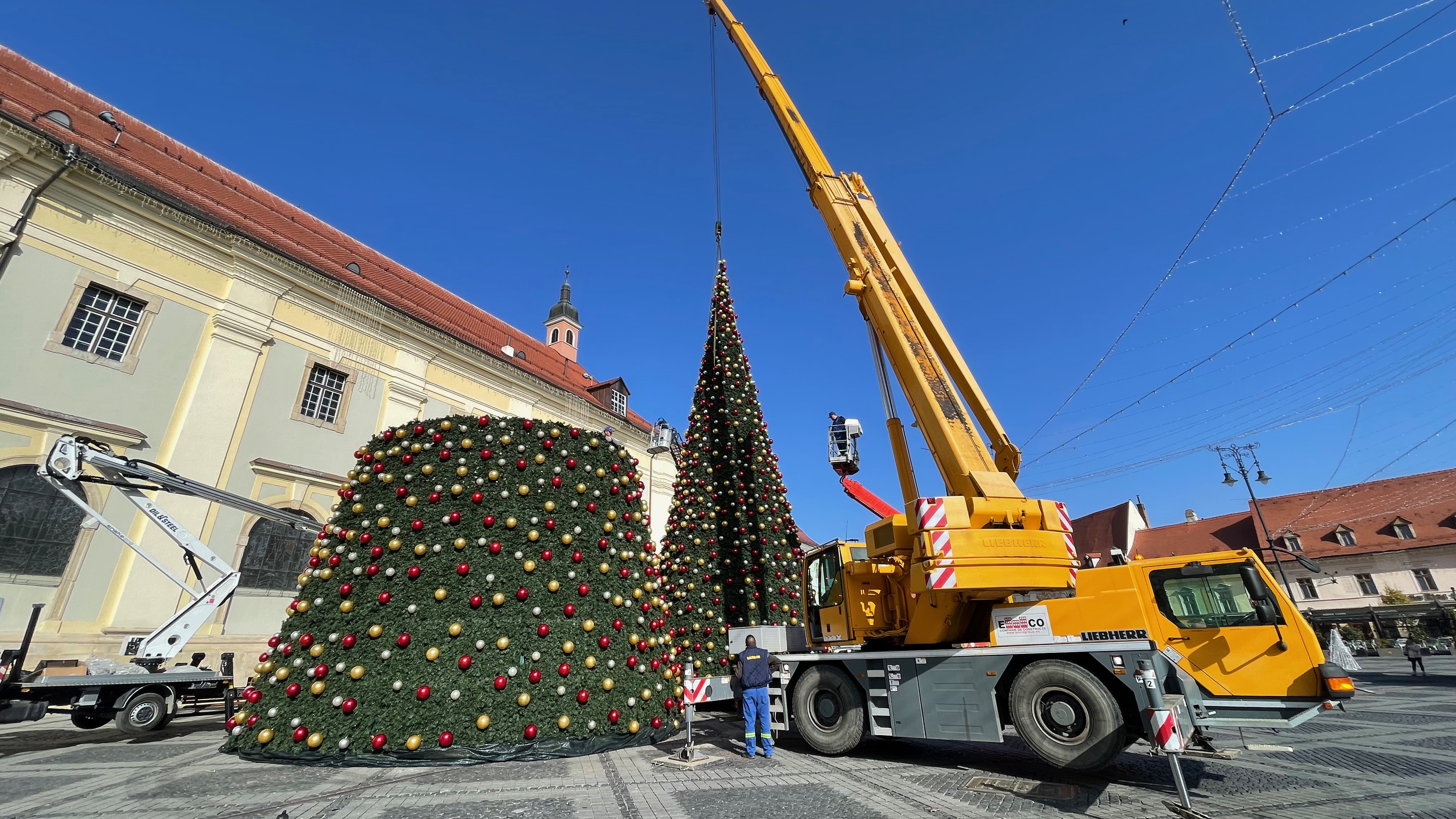 brad de Crăciun Sibiu
