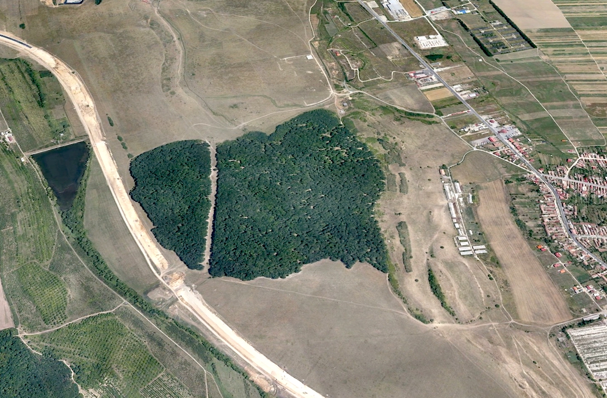 Terra Building va amenaja pista de biciclete din pădurea de la Cristian, „într-o zonă de agrement și relaxare”