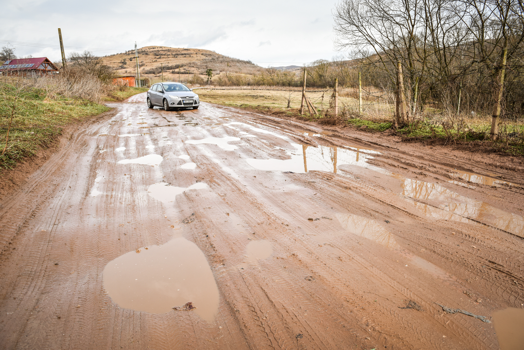 Strada Salcâmilor din Gușterița va fi modernizată: 2,6 milioane de euro pentru drumul care duce la Gușterland