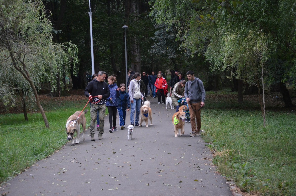 Expoziție de dejecții pe trotuarele din Sibiu. Primăria: „Se curăță zilnic. Cinci amenzi au fost aplicate până acum”