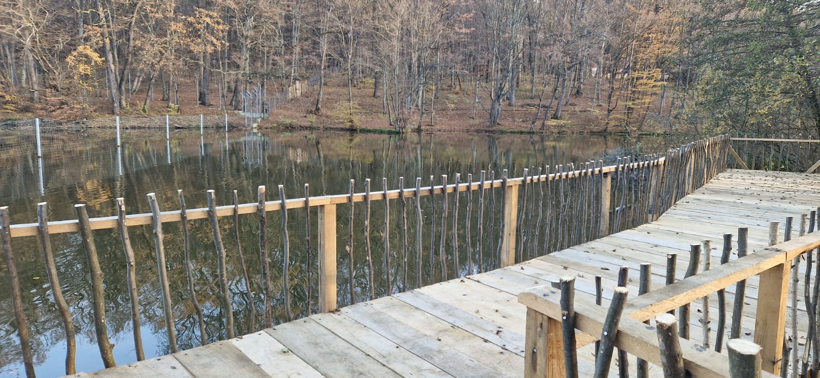 platforma pe lac muzeul astra