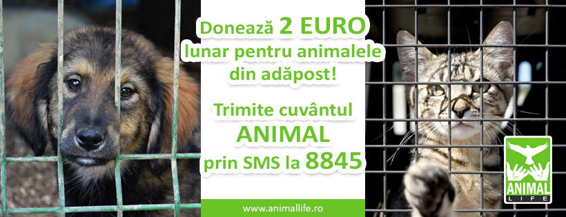 Cum putem ajuta Animal Life: donație lunară de doi euro prin SMS la 8845
