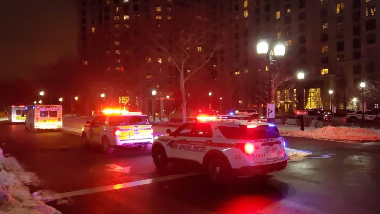 Cinci morţi şi un rănit într-un atac armat la periferia oraşului Toronto