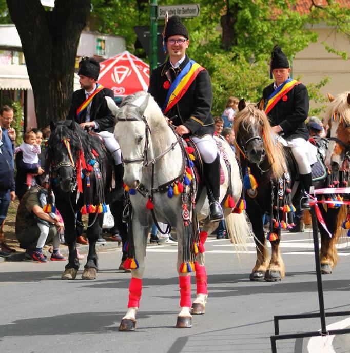 Ministerul Culturii: Tradiţia creşterii cailor de rasă lipiţană din România, inclusă în Patrimoniul UNESCO