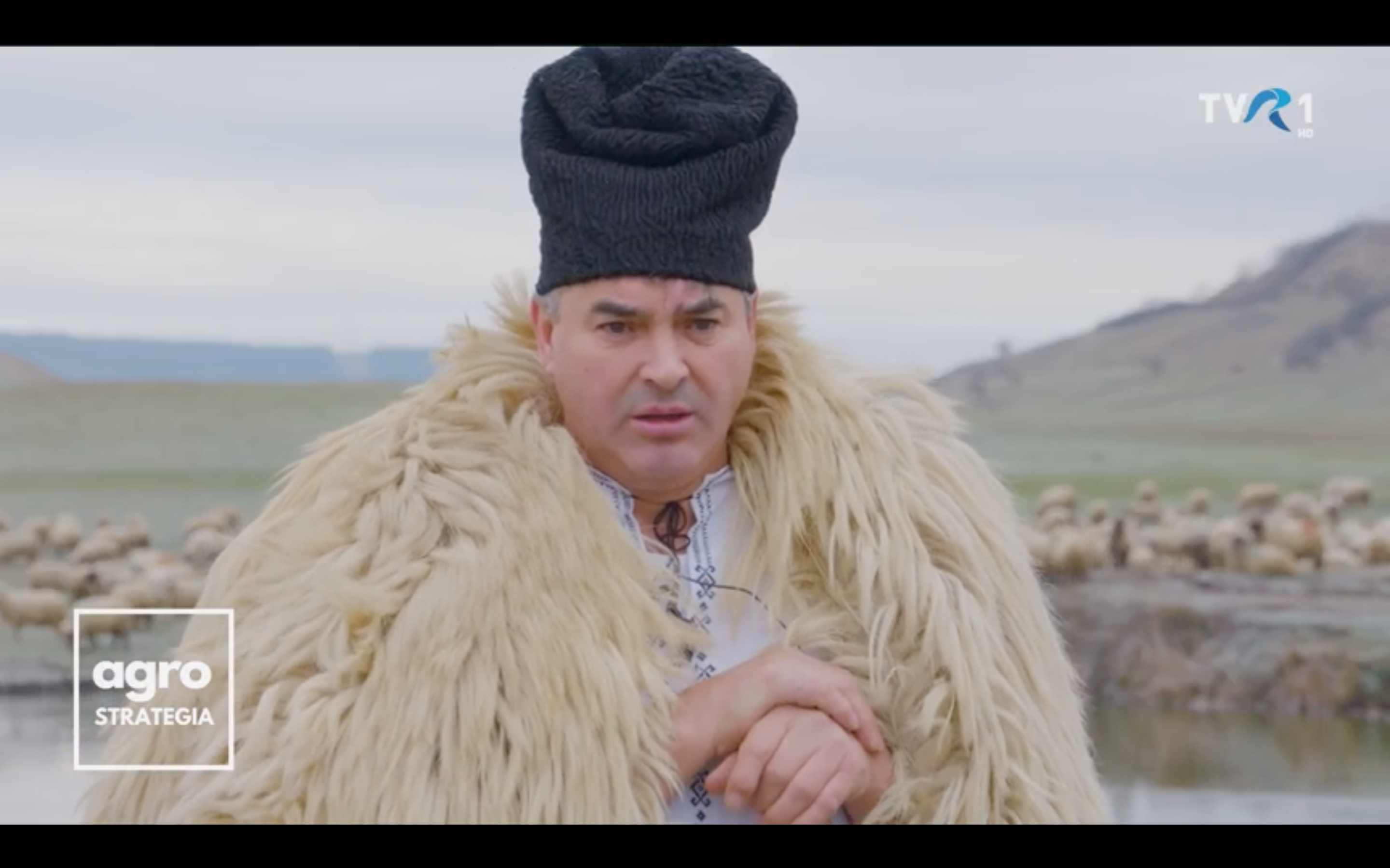 Cum se gătește „Pomana porcului” în Loamneș. Bilanțul anului făcut de unul dintre cei mai cunoscuți oieri din Sibiu