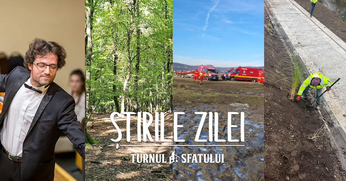 Știrile zilei - 29 decembrie. Căutările continuă cu experți americani, Direcția Silvică propune traseu tematic prin Pădurea Dumbrava, 1500 de arbori plantați pe malul Cibinului