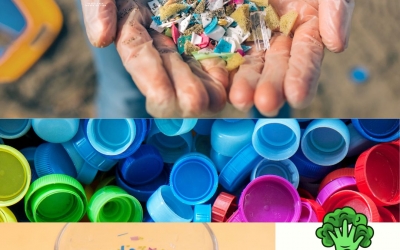 Plastic și microplastic: în ultimii zece ani rata de reciclare a deșeurilor din plastic a crescut cu aproximativ 80%